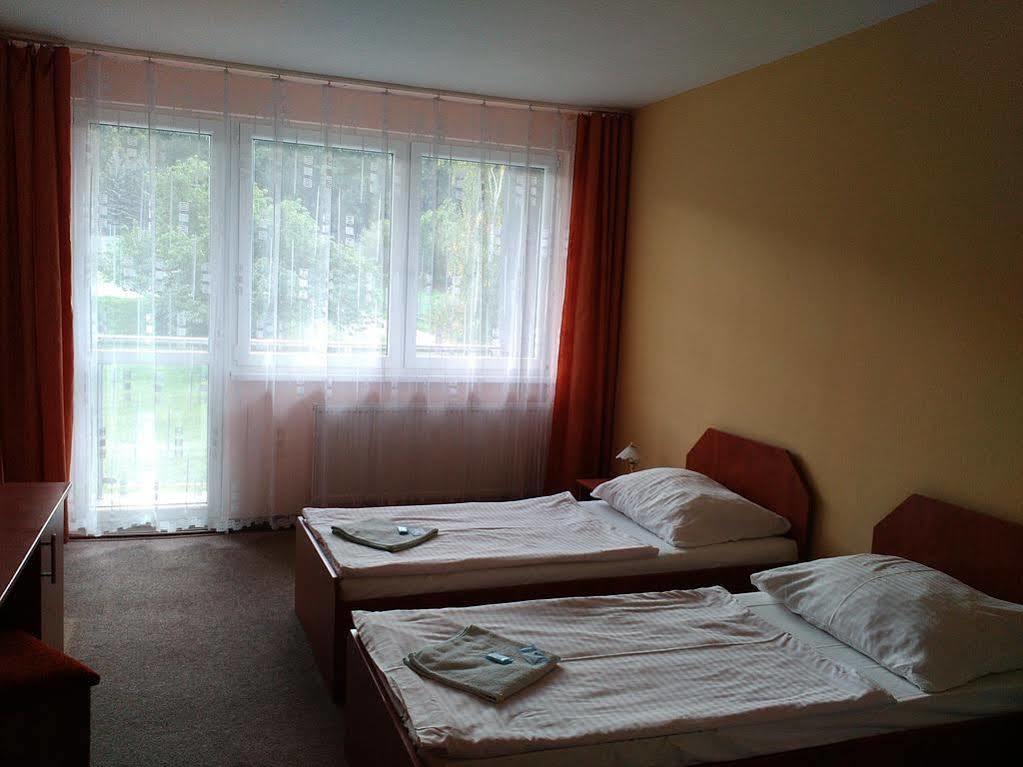 Hotel Panorama Teplice Extérieur photo